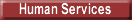 Human Services
